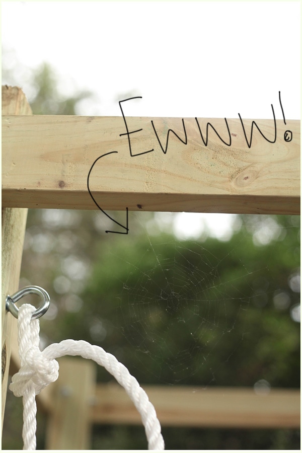 Newly formed spider web in the corner of an outdoor swing bed
