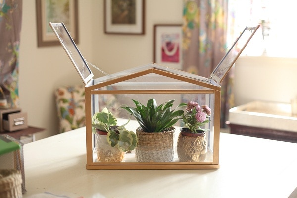 Mini terrarium opened up, with a potted green plant, succulent, and pink flowers inside. 