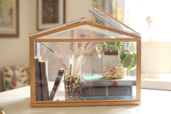 An indoor greenhouse displaying books and small decor items.
