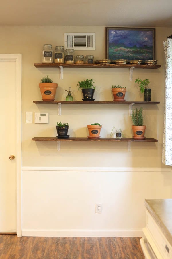 DIY Herb Wall in a kitchen with fresh herbs in various pots on dark wood shelving. 