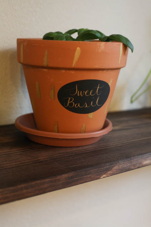 Sweet basil in a terra cotta planter, with a black and gold label. 