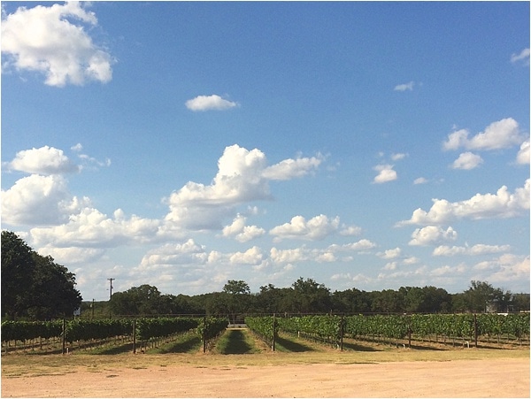Tips for Wine Tasting & our Trip to Fredericksburg Texas