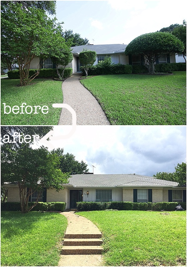 tree removal before and after pics_0015