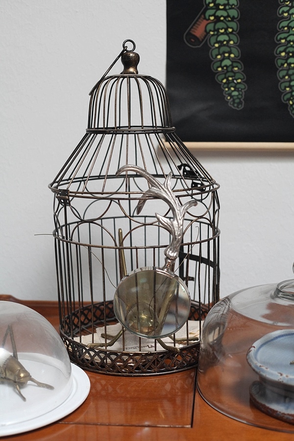 antique bird cage with a magnifying glass in front of a bug