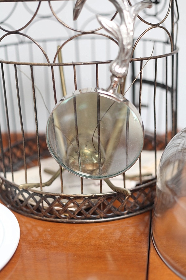 antique bird cage bug closeup