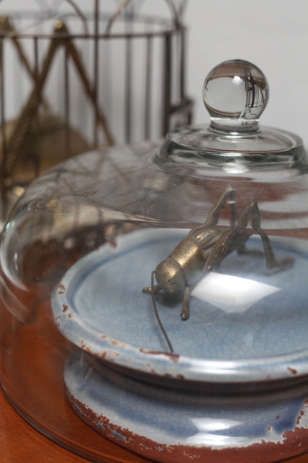 brass grasshopper underneath a glass dome