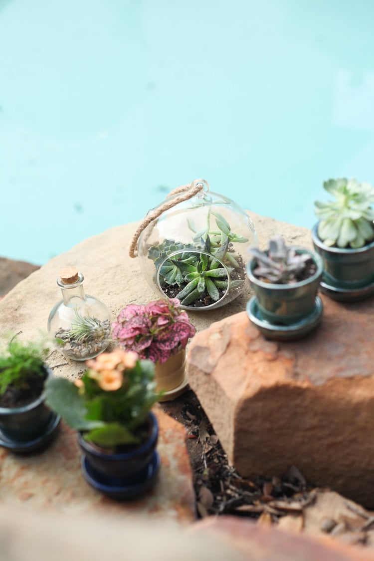 Quick and easy succulent garden - takes less than 5 minutes to make and is really hard to kill, so win/win! :)