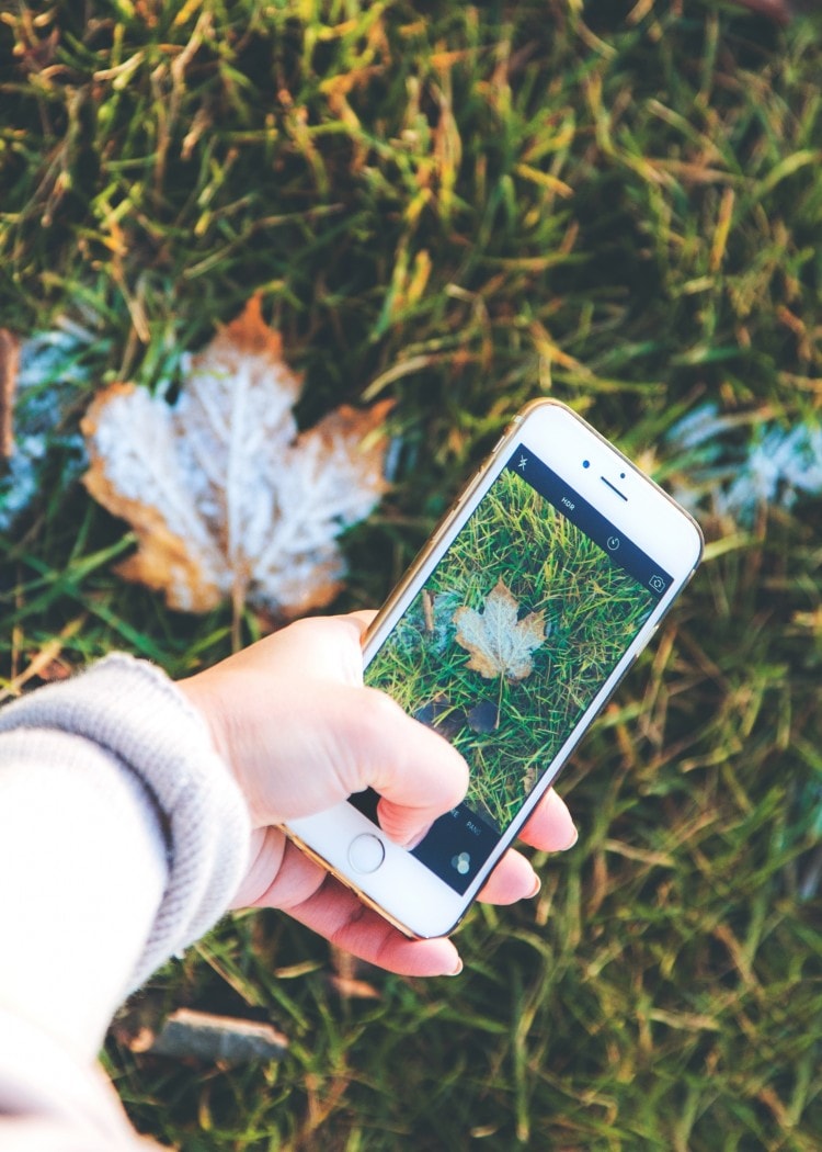 Best iPhone Apps for Editing Photos