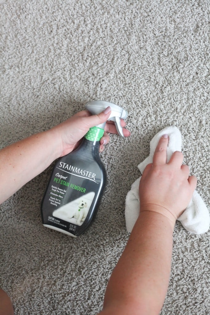 How to remove pet stains using STAINMASTER pet stain remover