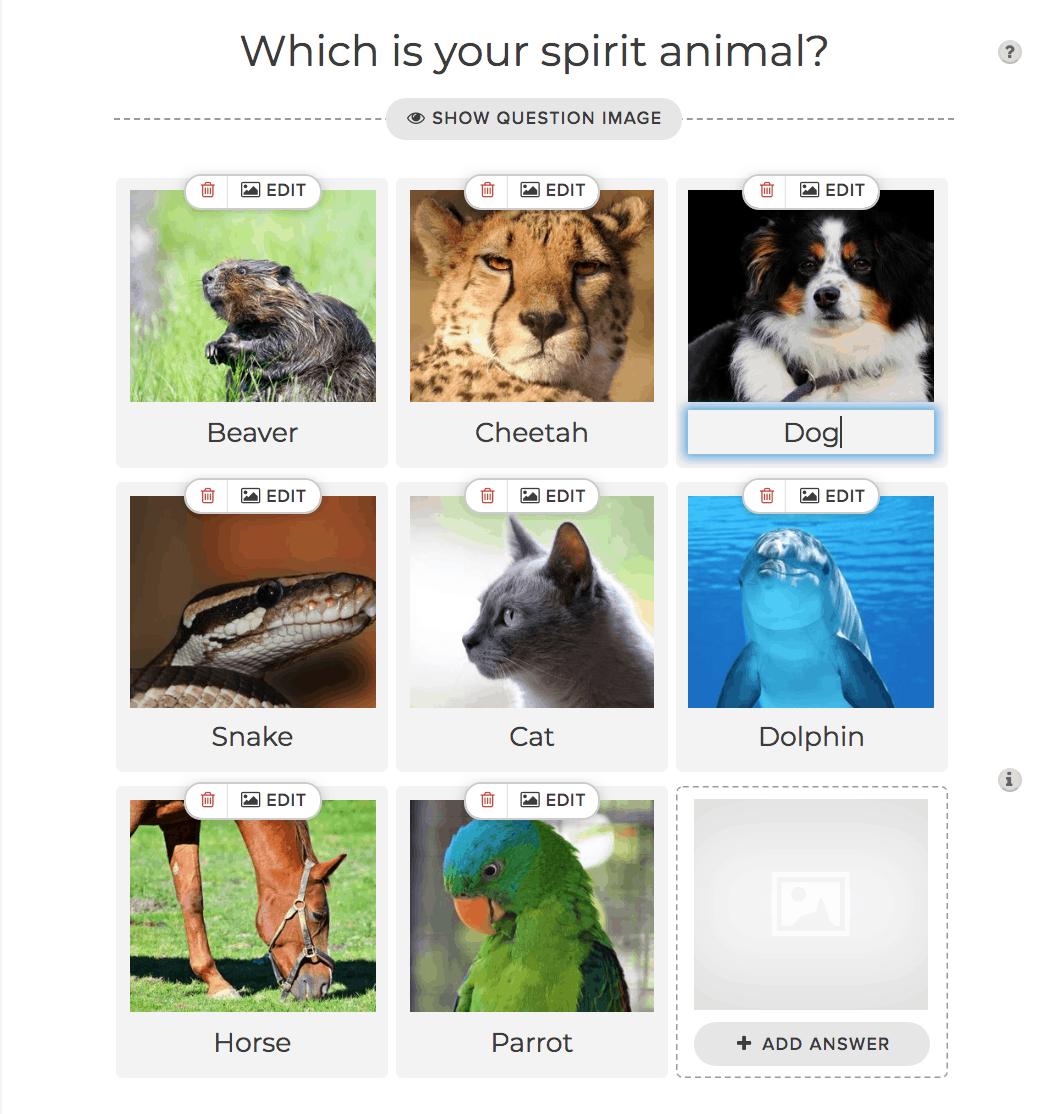 quiz with pictures of animals
