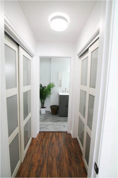 hallway looking into bathroom with potted plant and closet doors