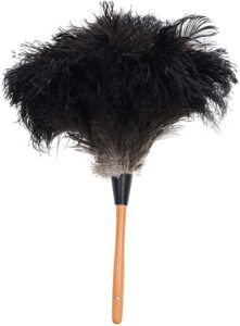 Feather duster for cleaning. 