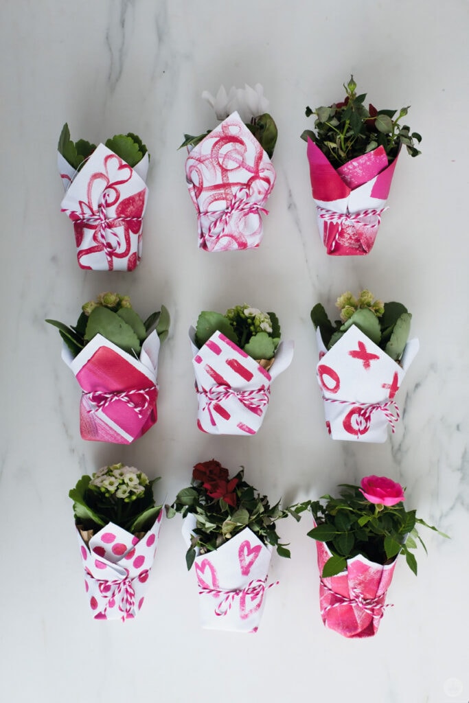 tiny plant planters make great Galentine's Day gifts