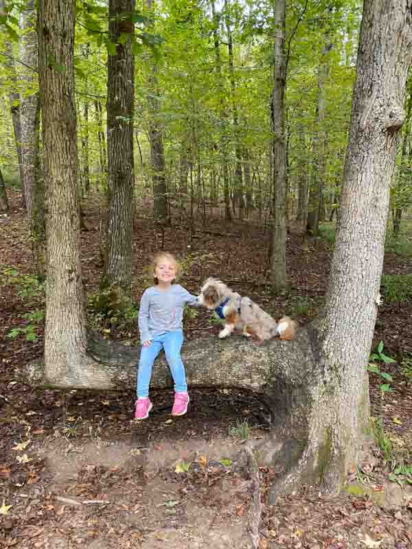 Little girl and dog sitting on a tree log outside.