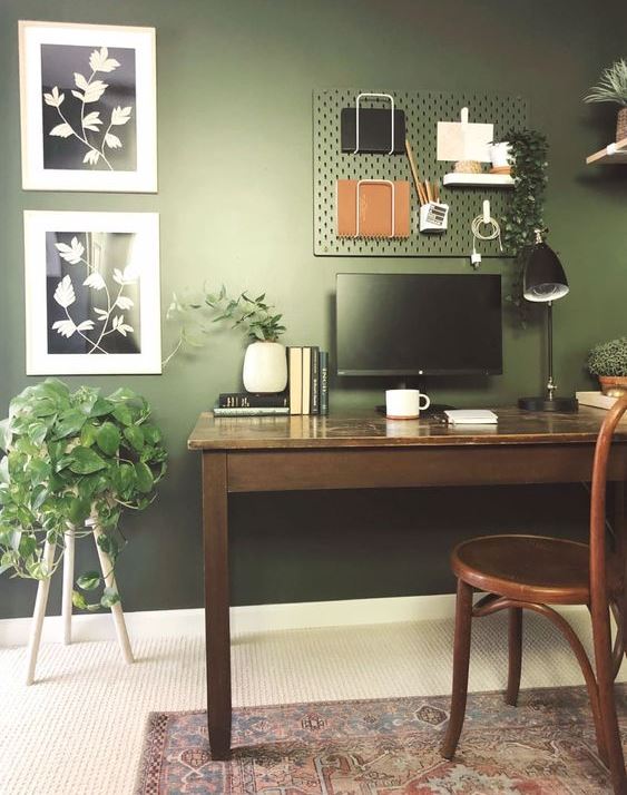 green accent wall in a home office with small plants surrounding a wooden desk