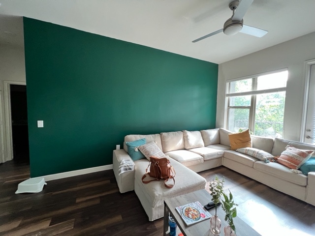 Green wall in living room with couch and pillows