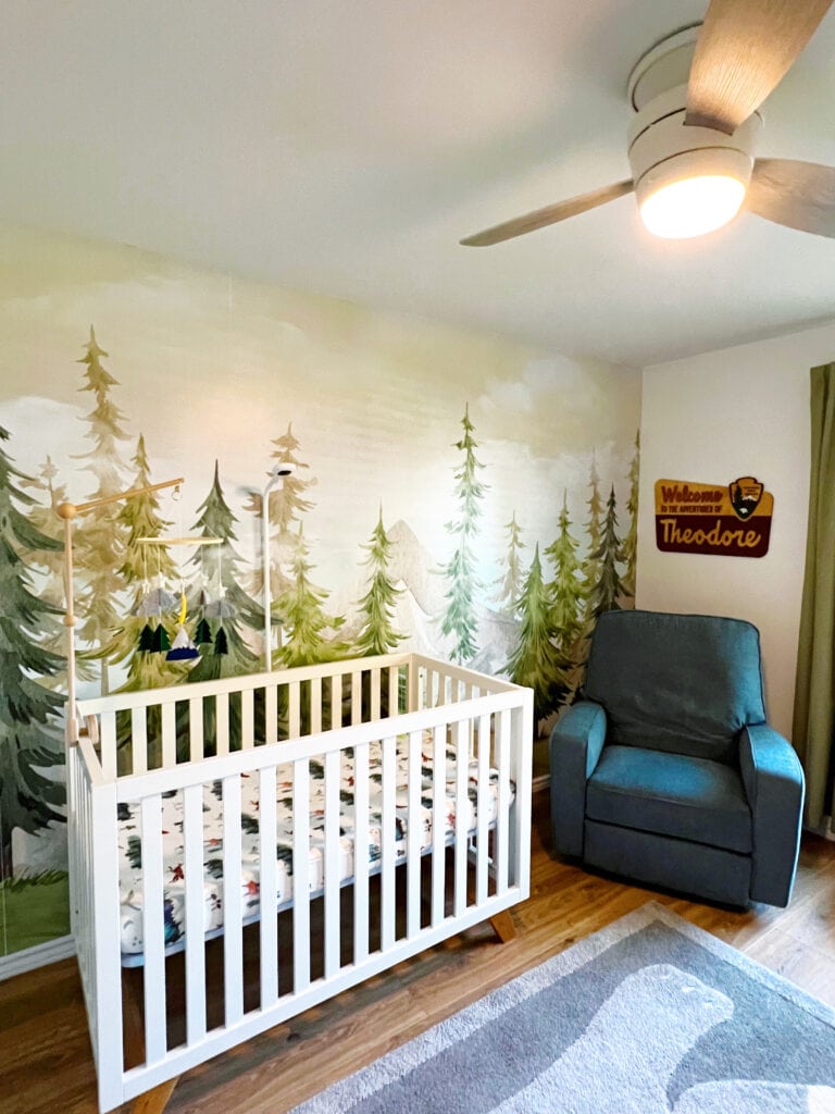 Baby Boy Nursery Tour: National Parks Theme Nursery