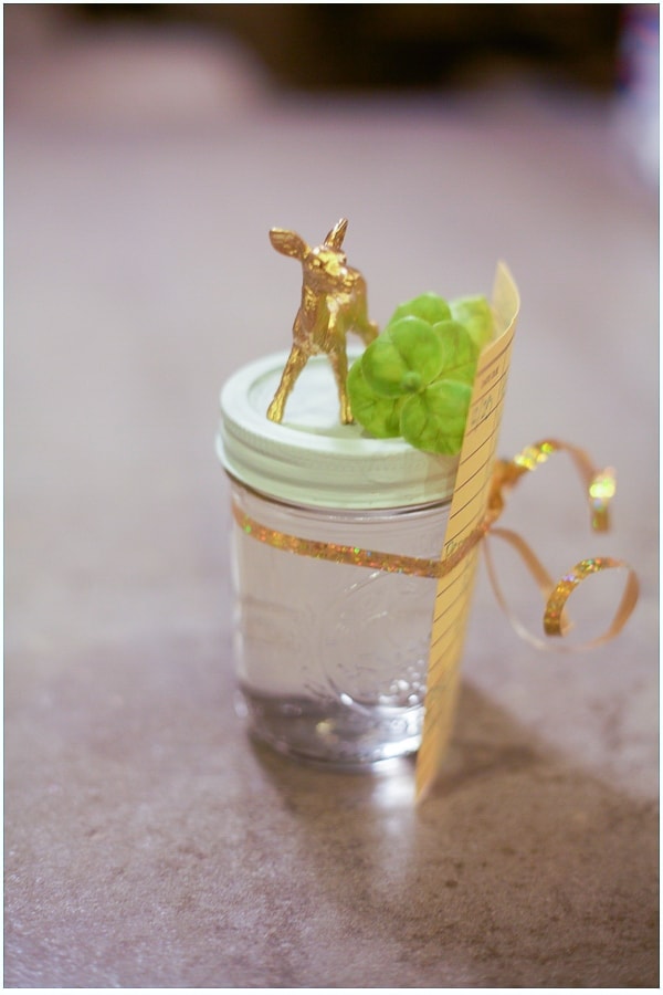 homemade peppermint vodka for gifting