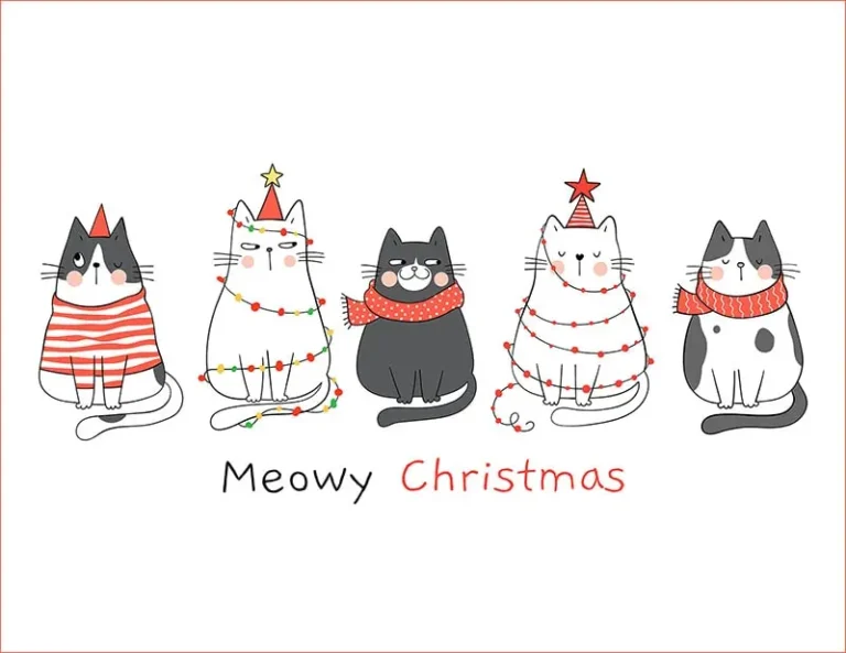 Meowy Christmas card