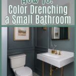 color drenching a small bathroom pin