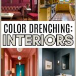 color drenching interiors 4 image collage