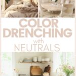 color drenching with neutrals pin