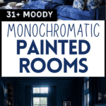 Dark, moody painted rooms.