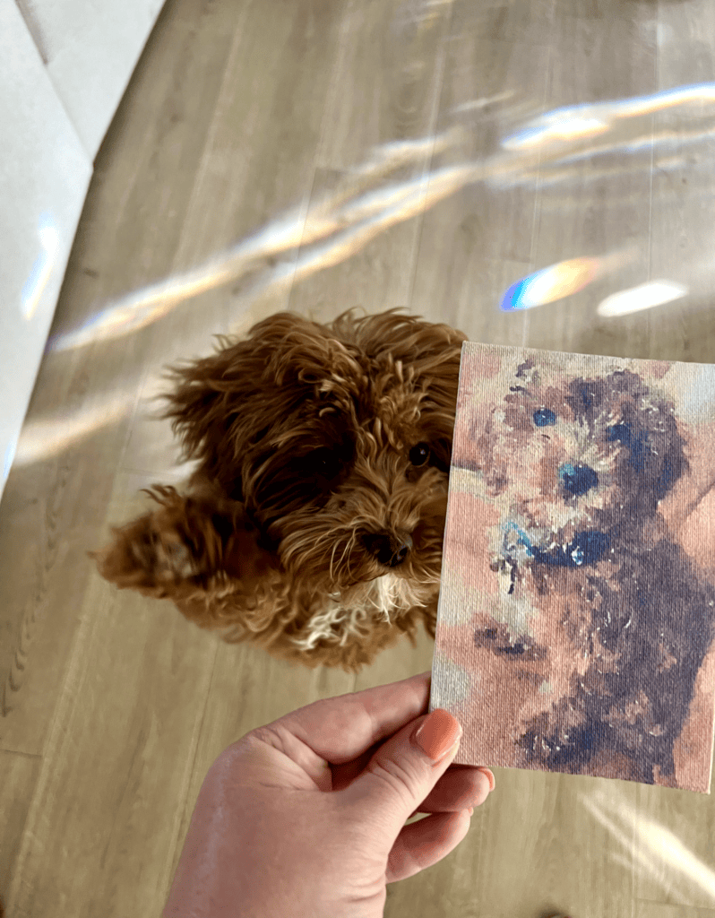 Cavapoo next to a canvas painted picture of himself