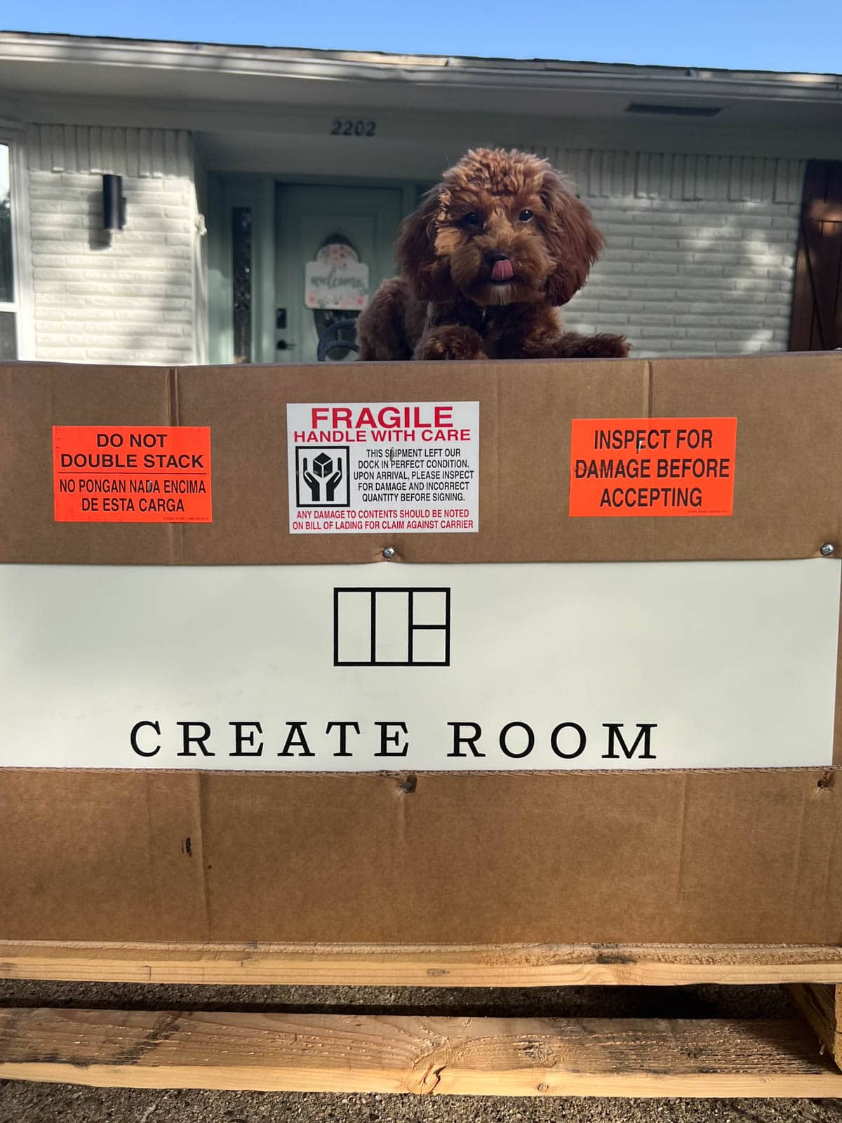 close up of Create Room logo on box with dog sitting on top
