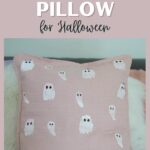 DIY painted pillow for halloween pin