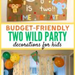 budget friendly two wild pin