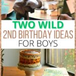 two wild birthday for boys pin