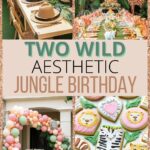two wild aesthetic birthday pin
