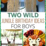 two wild party ideas pinterest collage