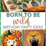 born to be wild birthday collage