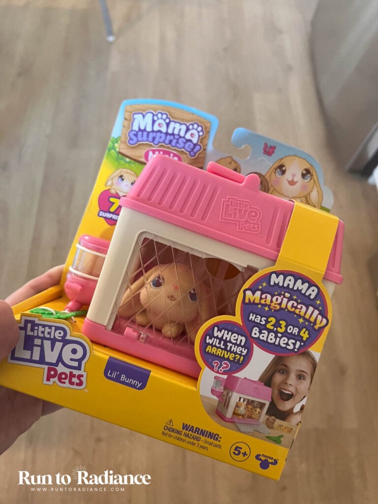 little live pet toy in a box