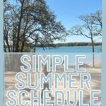 simple summer schedule for families pin