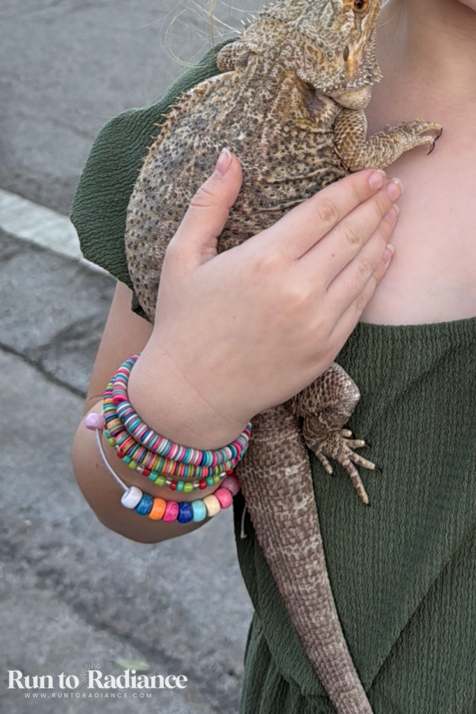 Stack of bracelets on a girl holding a reptile