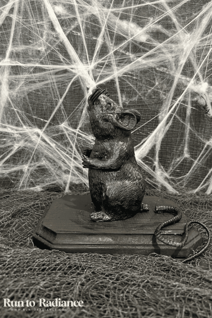 Close-up of a faux taxidermy rat specimen styled with cobweb