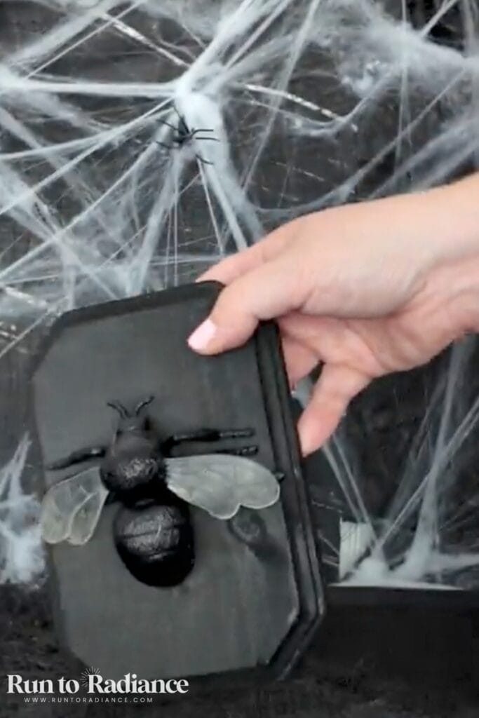 Finished faux taxidermy fly mount dollar tree halloween decoration