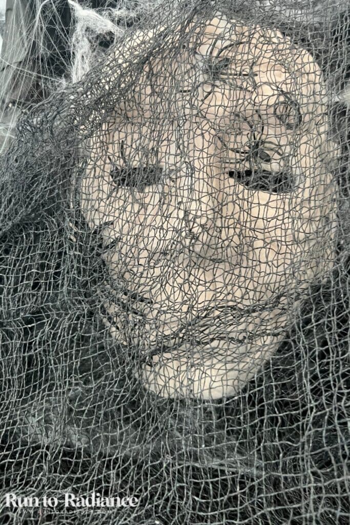 Dollar tree halloween decoration - paintd mask covered with creepy cloth and spiders