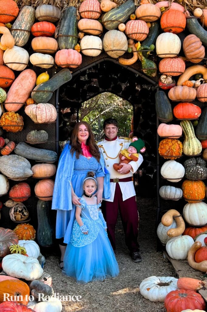 Cinderella and Prince Charming family costume with Fairy Godmother and Gus Gus