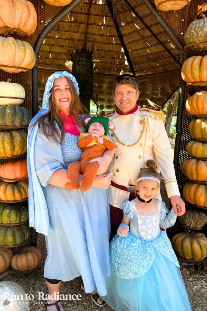 Family of four dressed as Cinderella, Prince Charming, Fairy Godmother and Gus Gus for Halloween