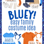 bluey family costume idea collage