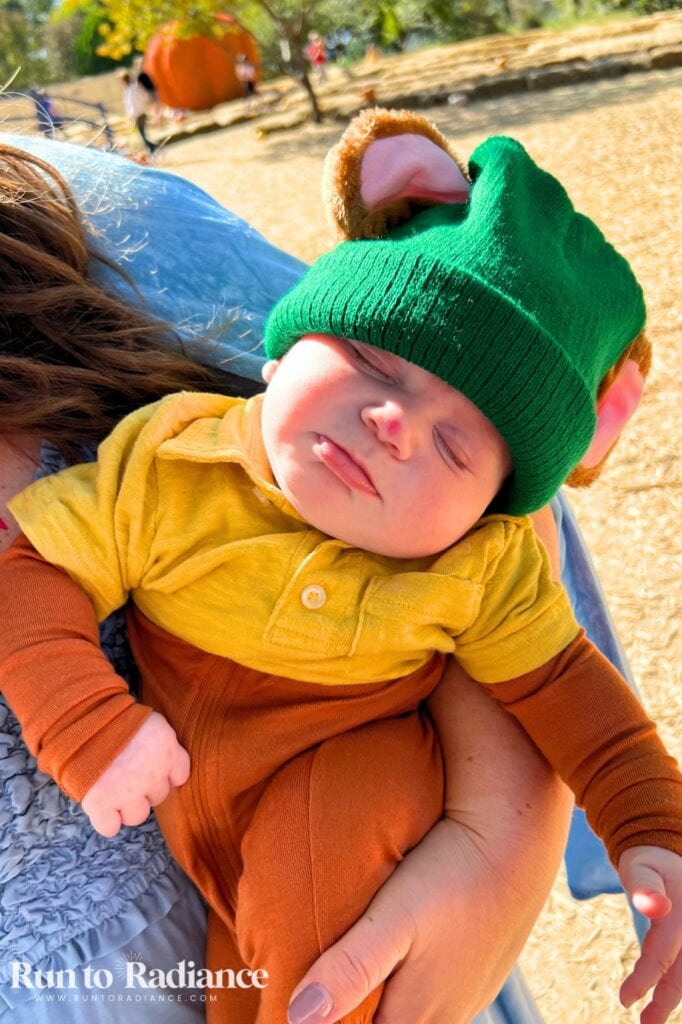 baby dressed in a gus gus costume from cinderella