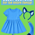Bluey costume pin graphic