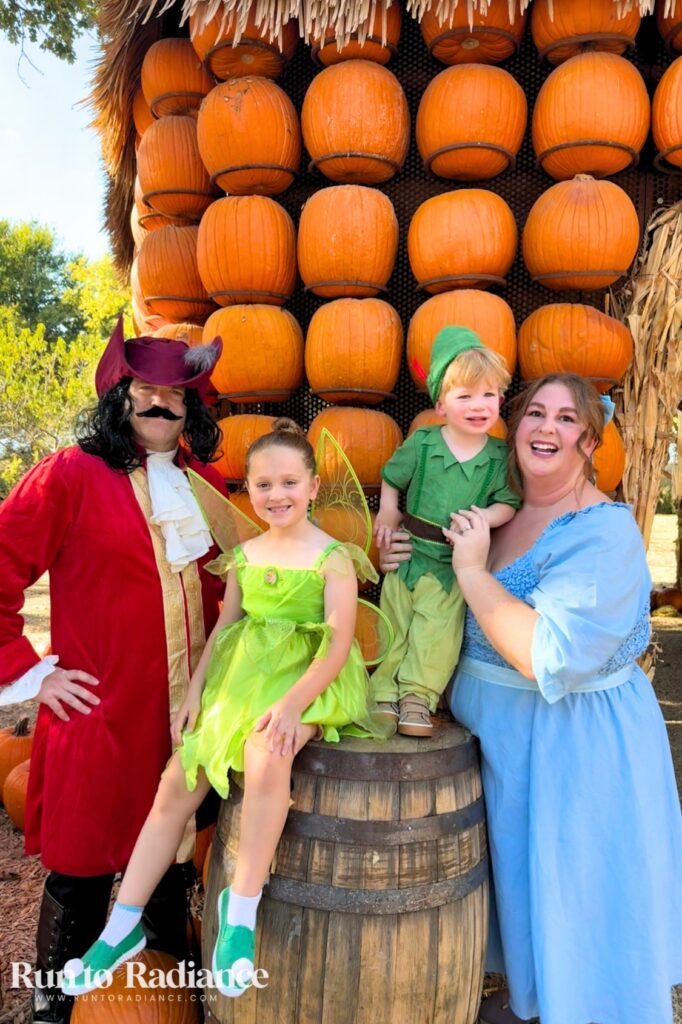 Peter Pan, Tinker Bell, Wendy and Captain Hook family costume for four