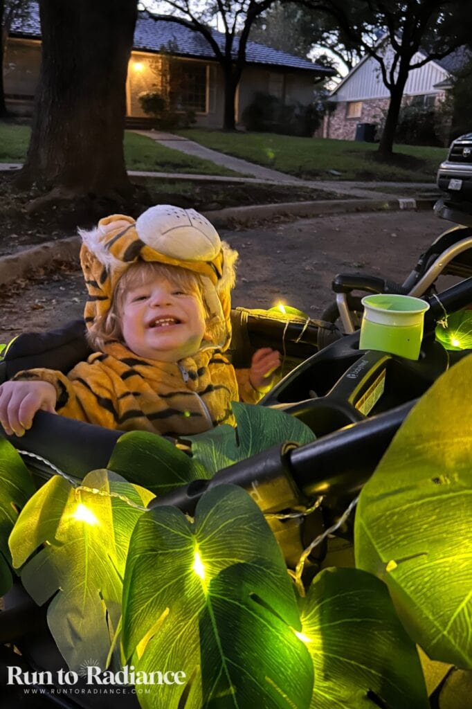 toddler boy wearing a tiger costume in a decorated safari themed stroller
